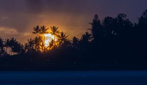 Preview wallpaper sunset, tropics, sun, palm trees, sea
