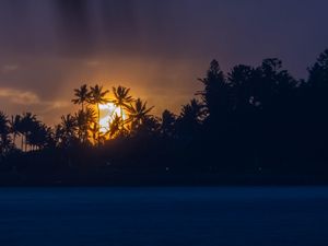 Preview wallpaper sunset, tropics, sun, palm trees, sea