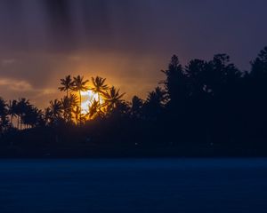 Preview wallpaper sunset, tropics, sun, palm trees, sea