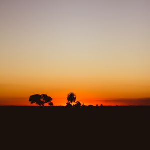 Preview wallpaper sunset, twilight, dark, trees, horizon