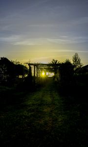 Preview wallpaper sunset, vineyard, grass, sunlight