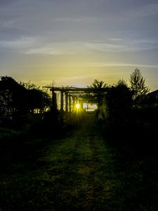 Preview wallpaper sunset, vineyard, grass, sunlight