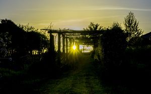 Preview wallpaper sunset, vineyard, grass, sunlight