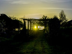 Preview wallpaper sunset, vineyard, grass, sunlight