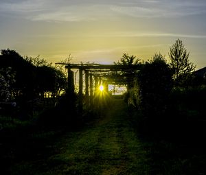 Preview wallpaper sunset, vineyard, grass, sunlight