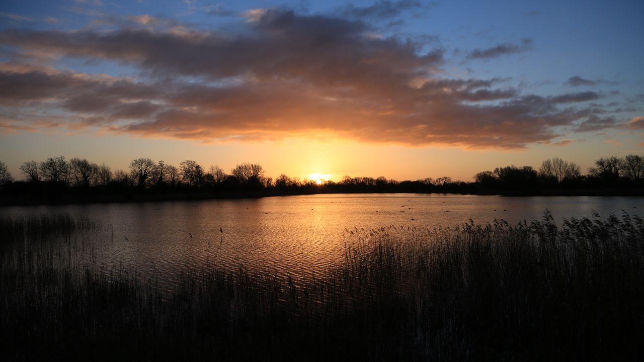 Wallpaper sunset, water, glare, grass