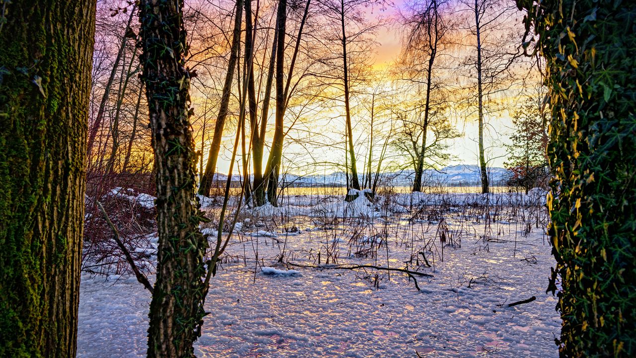 Wallpaper sunset, winter, snow, ice, trees, nature