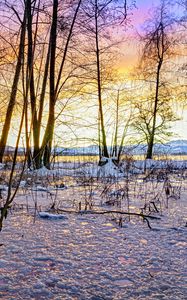 Preview wallpaper sunset, winter, snow, ice, trees, nature