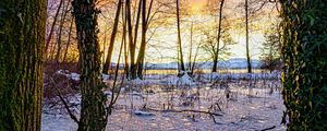 Preview wallpaper sunset, winter, snow, ice, trees, nature