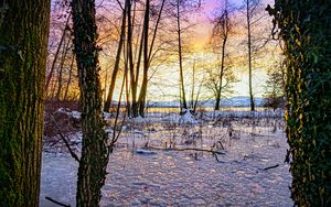 Preview wallpaper sunset, winter, snow, ice, trees, nature