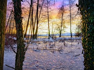 Preview wallpaper sunset, winter, snow, ice, trees, nature