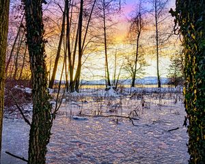 Preview wallpaper sunset, winter, snow, ice, trees, nature