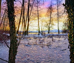 Preview wallpaper sunset, winter, snow, ice, trees, nature