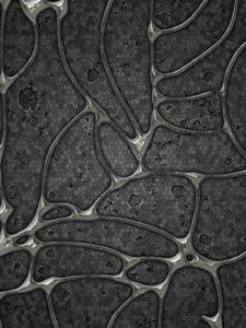 Preview wallpaper surface, black, ovals, lines