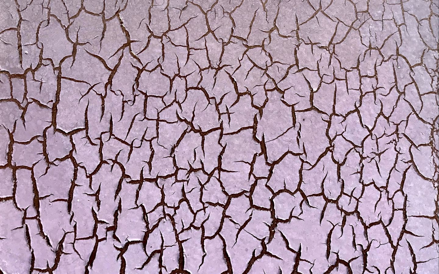 1440x900 Wallpaper surface, cranny, background, texture