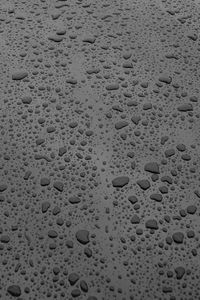 Preview wallpaper surface, drops, bw