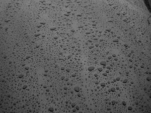 Preview wallpaper surface, drops, bw