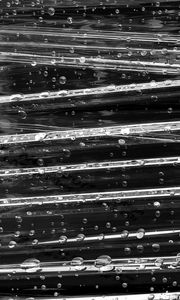 Preview wallpaper surface, drops, glare, macro, black and white