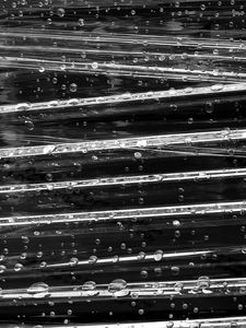 Preview wallpaper surface, drops, glare, macro, black and white