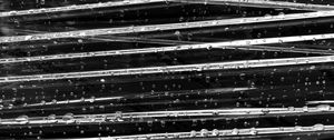 Preview wallpaper surface, drops, glare, macro, black and white
