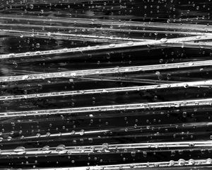 Preview wallpaper surface, drops, glare, macro, black and white