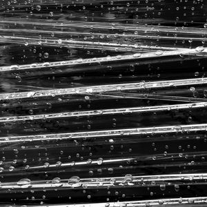 Preview wallpaper surface, drops, glare, macro, black and white