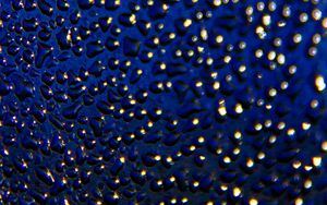 Preview wallpaper surface, drops, glare, blue, macro