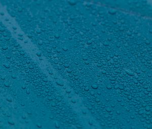 Preview wallpaper surface, drops, water, blue, macro