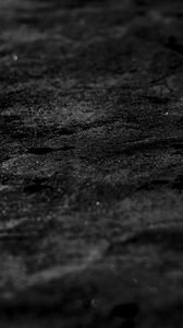 Preview wallpaper surface, macro, black, wet