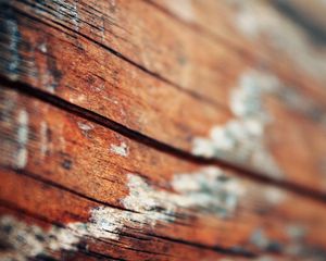 Preview wallpaper surface, wood, light