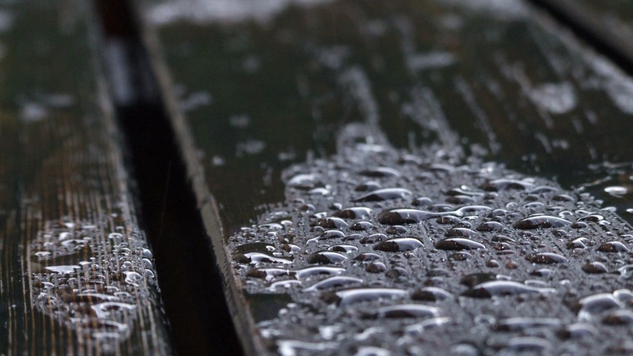 Wallpaper surface, wooden, drops, wet