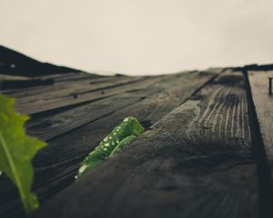 Preview wallpaper surface, wooden, macro