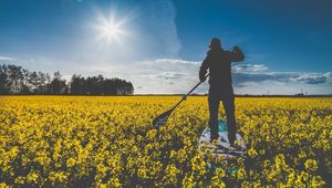 Preview wallpaper surfer, field, flowers, row, sunlight