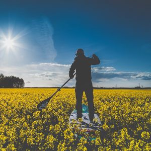 Preview wallpaper surfer, field, flowers, row, sunlight