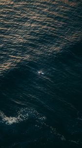 Preview wallpaper surfer, sea, aerial view, water, alone