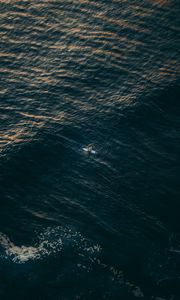 Preview wallpaper surfer, sea, aerial view, water, alone