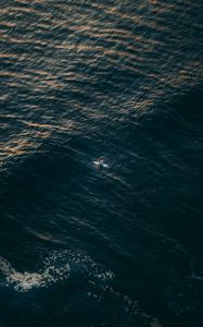 Preview wallpaper surfer, sea, aerial view, water, alone