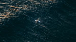 Preview wallpaper surfer, sea, aerial view, water, alone