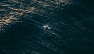 Preview wallpaper surfer, sea, aerial view, water, alone