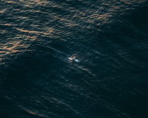 Preview wallpaper surfer, sea, aerial view, water, alone