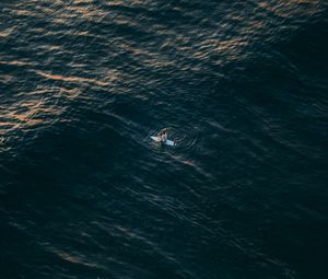 Preview wallpaper surfer, sea, aerial view, water, alone