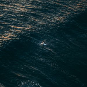 Preview wallpaper surfer, sea, aerial view, water, alone