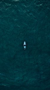 Preview wallpaper surfer, surfing, top view, ocean