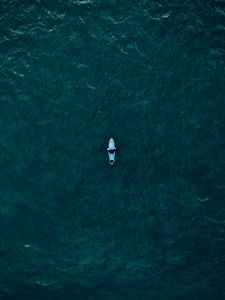 Preview wallpaper surfer, surfing, top view, ocean