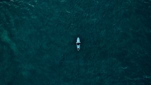 Preview wallpaper surfer, surfing, top view, ocean