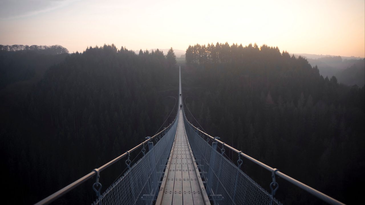 Wallpaper suspension bridge, bridge, fog, forest