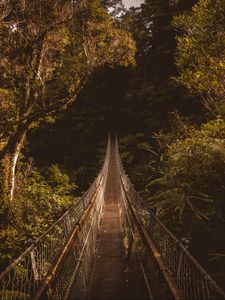 Preview wallpaper suspension bridge, bridge, trees