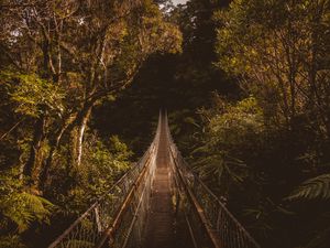 Preview wallpaper suspension bridge, bridge, trees