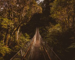 Preview wallpaper suspension bridge, bridge, trees