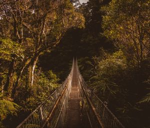 Preview wallpaper suspension bridge, bridge, trees